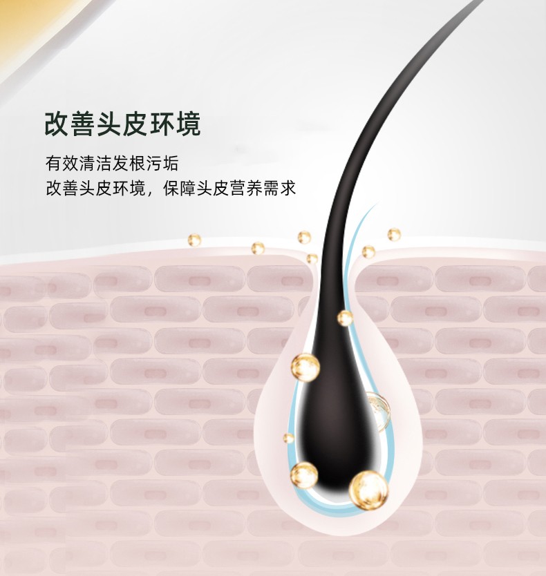 改善頭皮環境   有效清潔發根污垢   改善頭皮環境，保障頭皮營養需求
